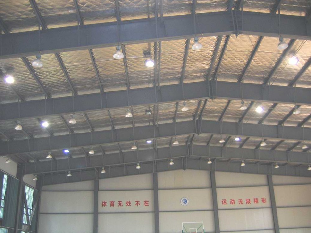 g8338195.JPG